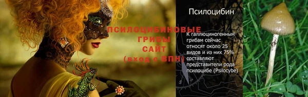 MDMA Богданович
