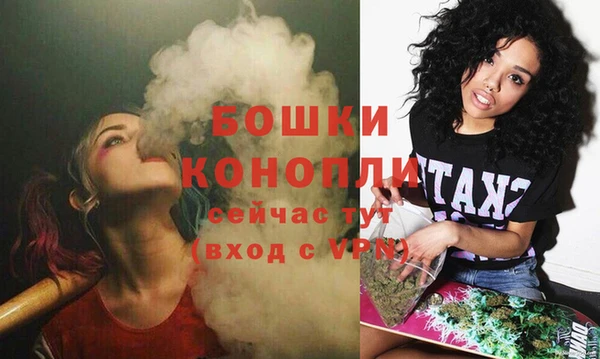 трава Богородицк